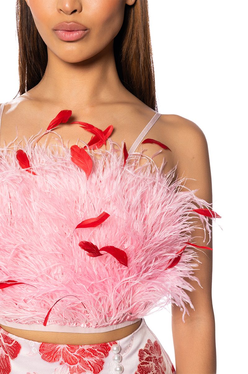 Heather Feather Top