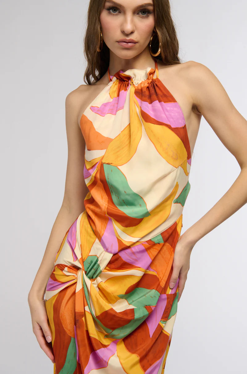 Botanique Midi Dress